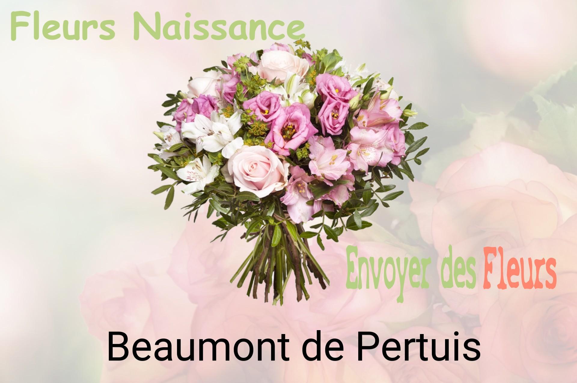 Bouquet de fleurs de naissance livré à Beaumont-de-Pertuis