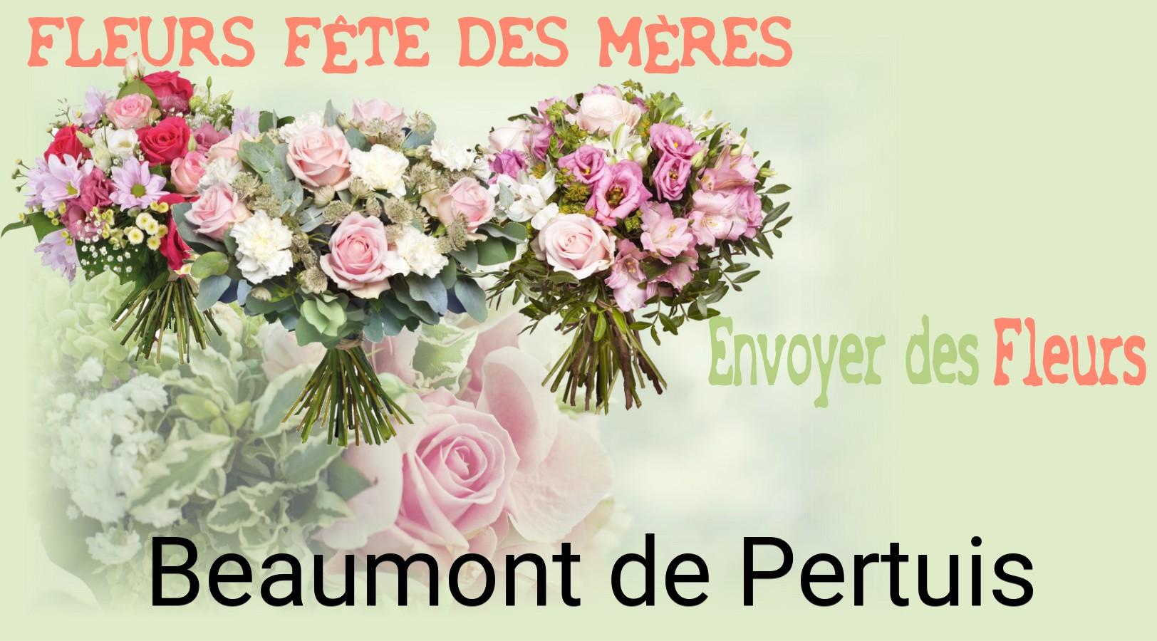 Bouquet de Fête des Mères livré à Beaumont-de-Pertuis